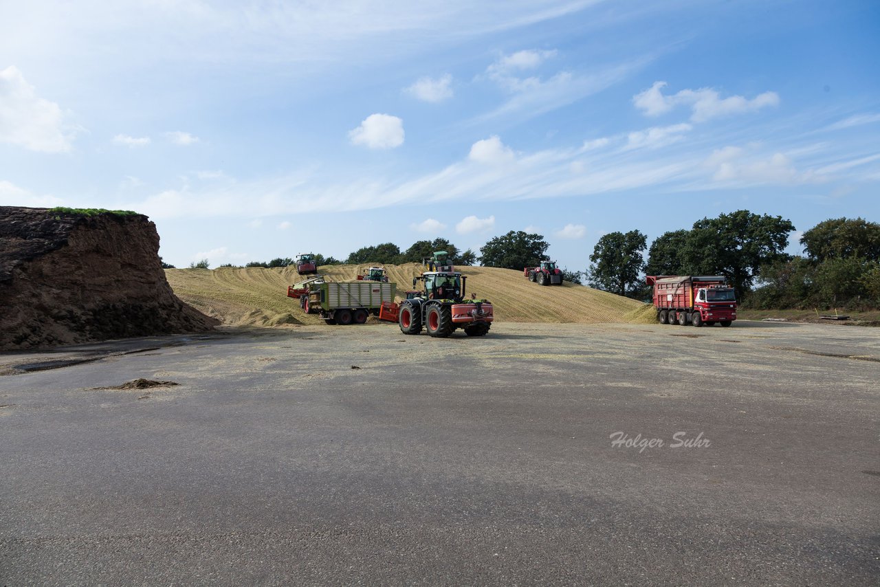 Bild 34 - Maisernte